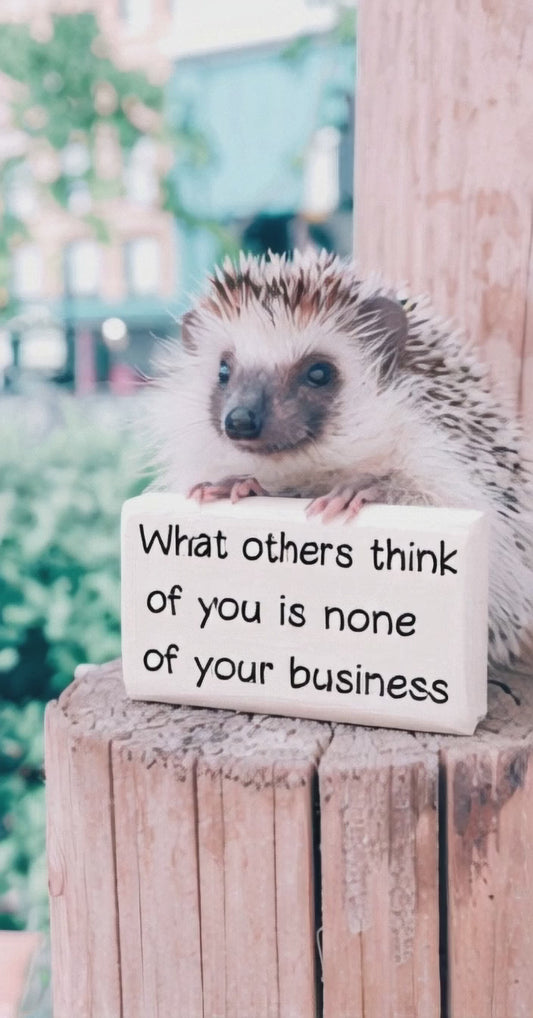 A cute hedgehog perched on a wooden post, holding a small sign that reads, "What others think of you is none of your business," with a blurred green background.