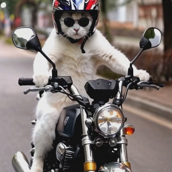 A white cat wearing sunglasses and a helmet rides a motorcycle on a street, creating a fun and humorous scene perfect for social media posts.