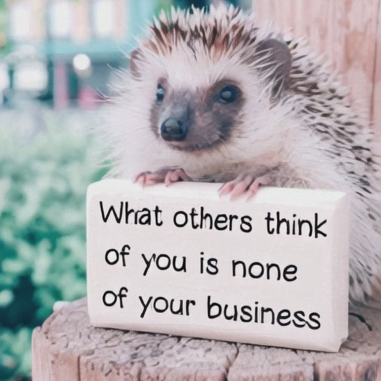  A cute hedgehog perched on a wooden post, holding a small sign that reads, "What others think of you is none of your business," with a blurred green background.